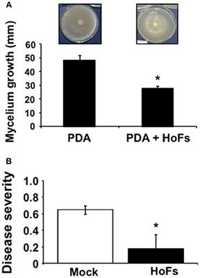 Compounds Released by the Biocontrol Yeast Hanseniaspora opuntiae Protect Plants Against Corynespora cassiicola and Botrytis cinerea
